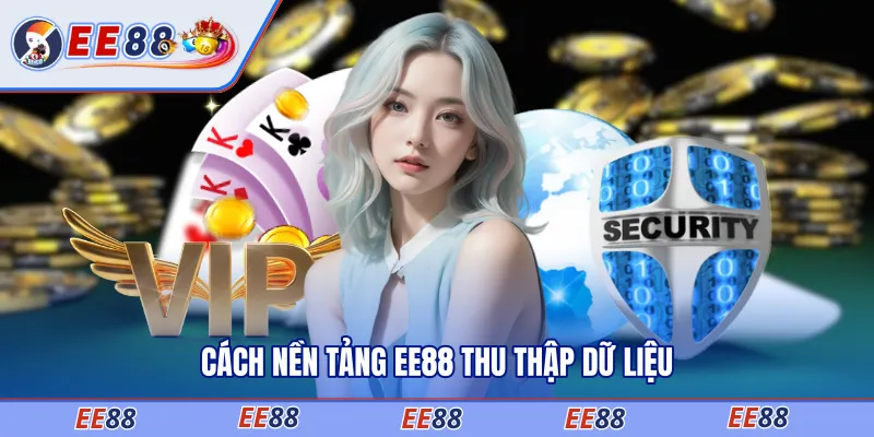 Cách nền tảng EE88 thu thập dữ liệu