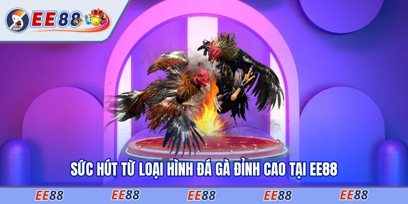 Sức hút từ loại hình đá gà đỉnh cao tại EE88